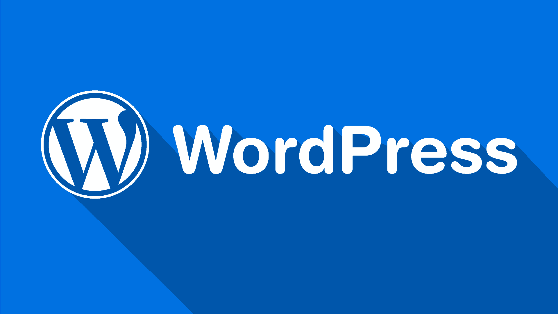 WordPress Training and Development